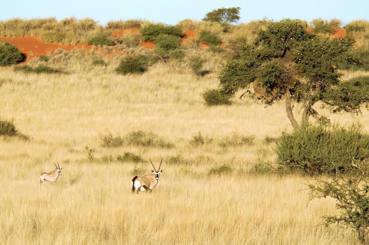 Gondwana Kalahari Anib Lodge Hardap Luaran gambar