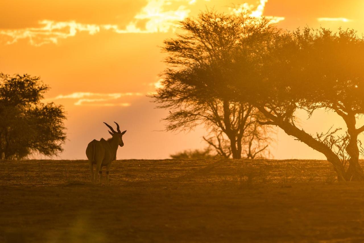 Gondwana Kalahari Anib Lodge Hardap Luaran gambar